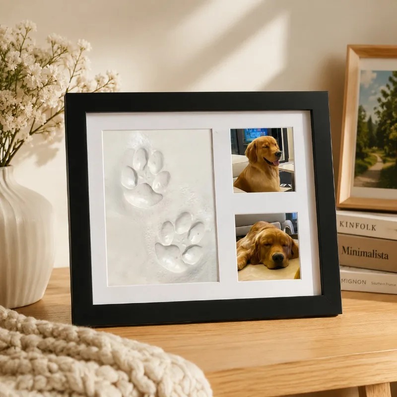 DIY Pet Paw Print Memorial Kit - Photographic Memory recension och pris